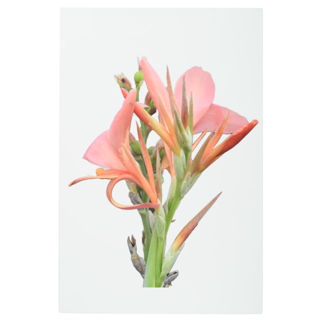 ユリの花 メタルプリント (正面)