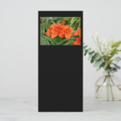 ユリの花 – 虹色オレンジ（マット28-30） (スタンド正面)