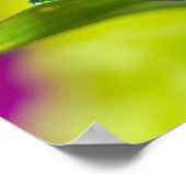 ユリの葉 ポスター (角)