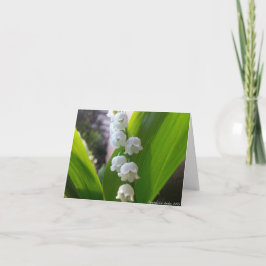ユリの谷Notecard カード