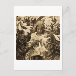 ユリの間 – ヴィンテージ立体視 ポストカード