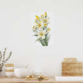 ユリの黄色い花 ポスター (キッチン)