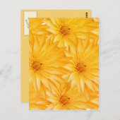 ユリの黄色の上品 ポストカード (正面/裏面)