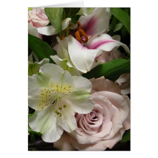 ユリは上がり、 (正面)