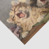 ユリウス・アダム2世による子猫のシンフォニー 薄葉紙 (詳細)