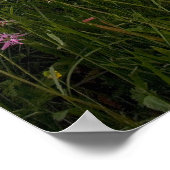 ユリウスALPSビュー ポスター (角)