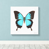 ユリシーズ・バタフライ キャンバスプリント (インサイチュ (ウッドフロア))