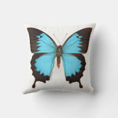 ユリシーズ・バタフライ クッション (裏面)