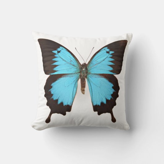 ユリシーズ・バタフライ クッション (正面)