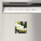 ユリ磁石 マグネット (インサイチュ (食洗機))