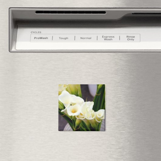 ユリ磁石 マグネット (インサイチュ (食洗機))