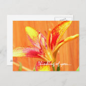 ユリ考えーの ポストカード (正面/裏面)