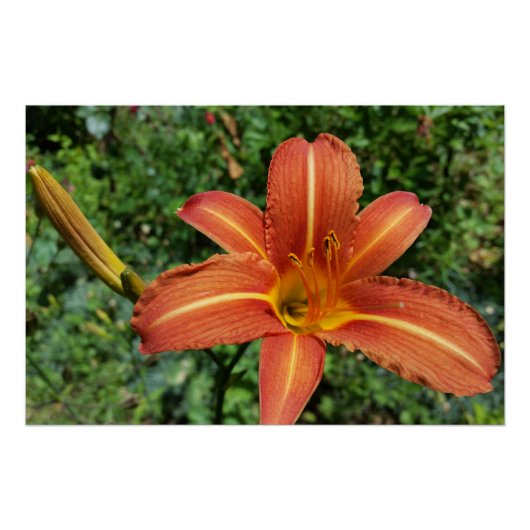 ユリ輝く ポスター (正面)