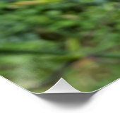 ユリ輝く ポスター (コーナー)