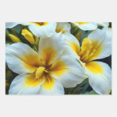 ユリ鮮やか赤と白ー ラッピングペーパーシート (正面3)