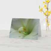 ユリ1のカード カード (黄色い花)