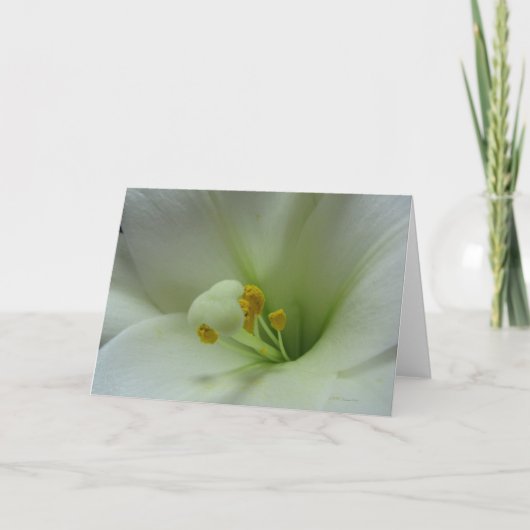 ユリ1のカード カード (正面)