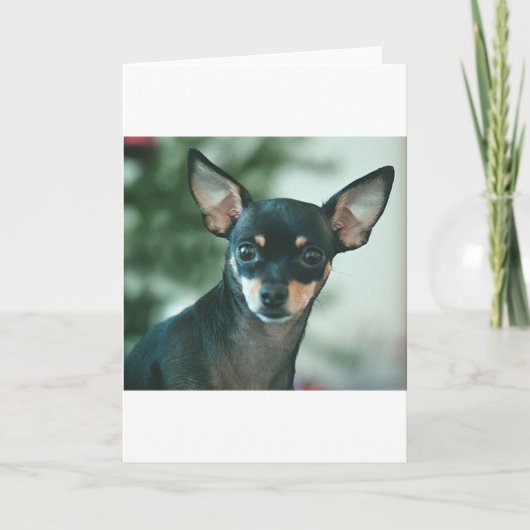 ユリ カード (正面)