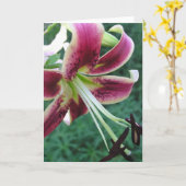 ユリ カード (黄色い花)