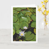 ユリ カード (黄色い花)