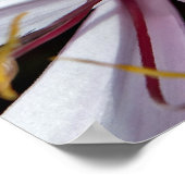 ユリ ポスター (角)