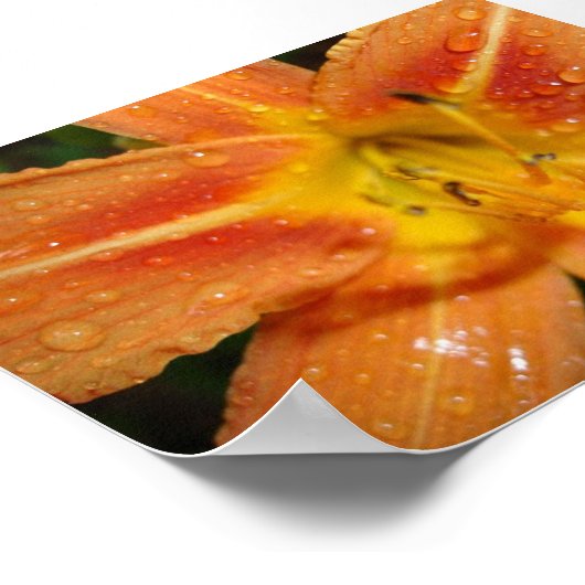 ユリ ポスター (角)