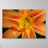 ユリ ポスター (正面)