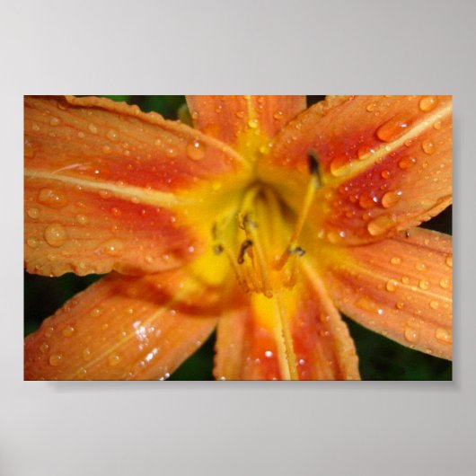 ユリ ポスター (正面)