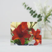 ユリ ポストカード (スタンド正面)