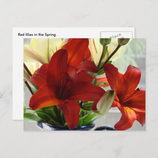 ユリ ポストカード (正面/裏面)