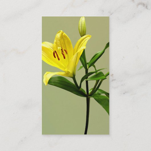 ユリ（黄） 名刺 (裏面)