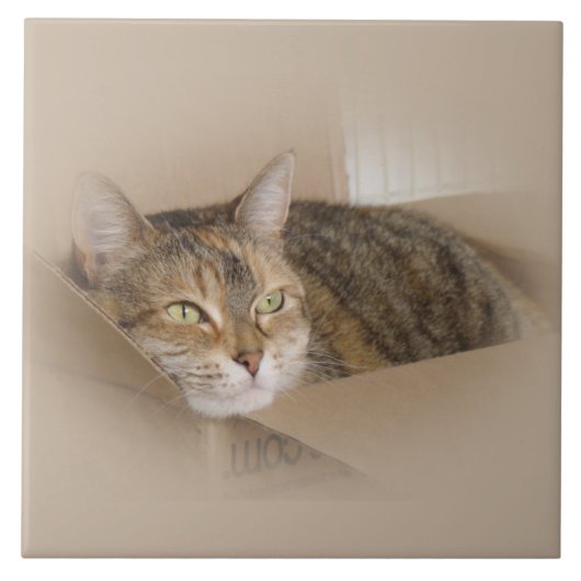 ユリ#1 タイル (正面)