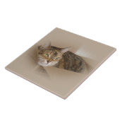 ユリ#1 タイル (側面)