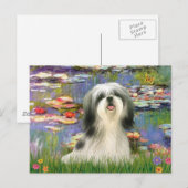 ユリ(#2) -シーズー（犬）Tzu #3 ポストカード (正面/裏面)
