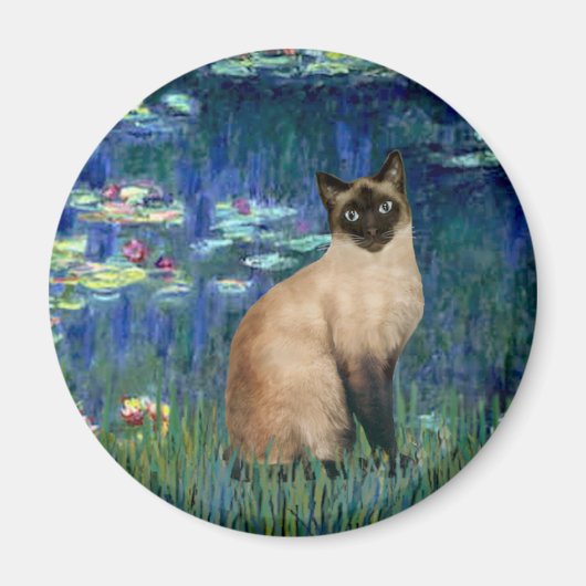 ユリ 5 - シールポイントのシャム猫 マグネット (正面)