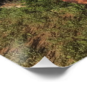 ユンキヤールの宝物 ポスター (コーナー)