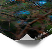 ユンコ ポスター (角)