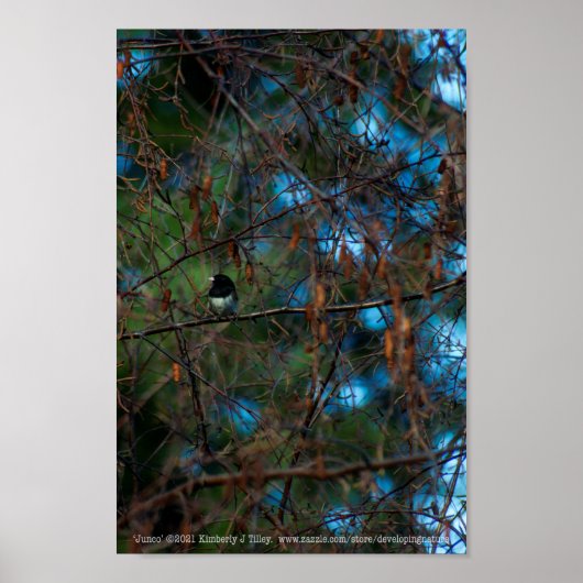 ユンコ ポスター (正面)