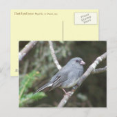 ユンコ ポストカード (正面/裏面)