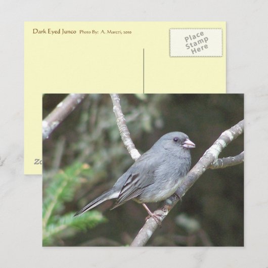 ユンコ ポストカード (正面/裏面)