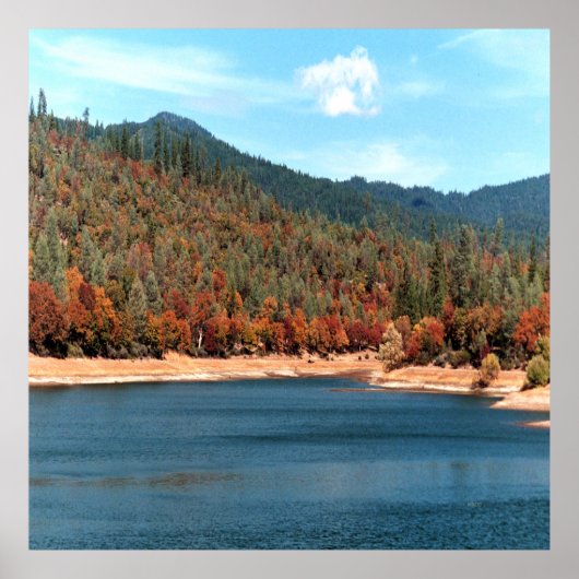 ユーイング貯水池の思い出…..... ポスター (正面)