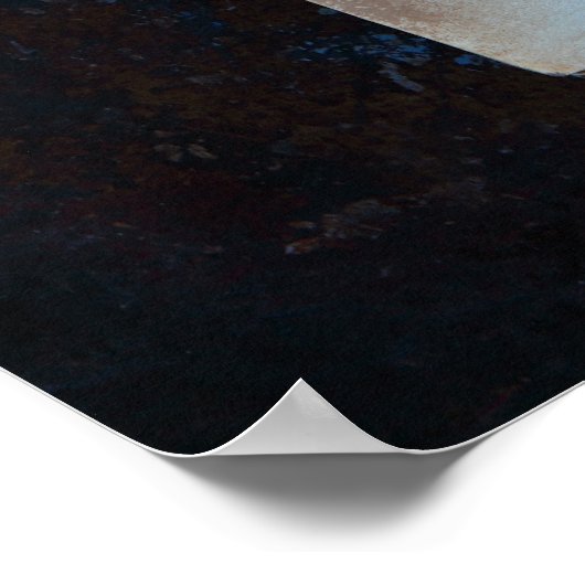 ユーカリの古い本ペー葉ジ ポスター (角)