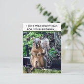 ユーカリの実のジョーク 誕生日おめでとう ポストカード (スタンド正面)