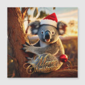 ユーカリの木に座るコアラのクリスマス (正面)