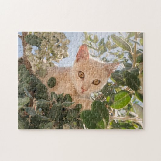 ユーカリの木の可愛い猫の登山- ジグソーパズル (横)