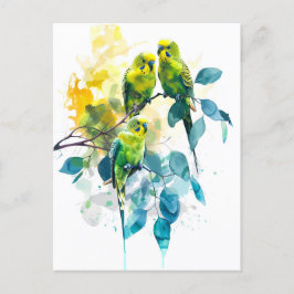 ユーカリの木の水色のブダリガー ポストカード