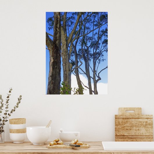 ユーカリの木 ポスター (キッチン)