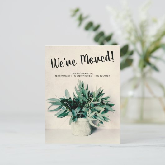 ユーカリの移動発表のアップロードあなたの写真 案内ポストカード (スタンド正面)