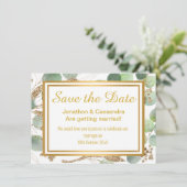 ユーカリプタス金ゴールド植物保存日 (スタンド正面)