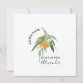 ユーカリプトゥスオレンジミントリトルかわいこちゃんベビーシャワー 招待状 (裏面)